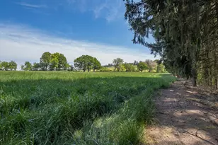7734 SE Starr Quarry Rd, Amity, OR 97101 - Photo 35