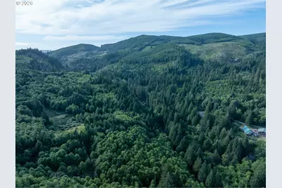 0 N Dubois Rd, Ariel, WA 98603 - Photo 13