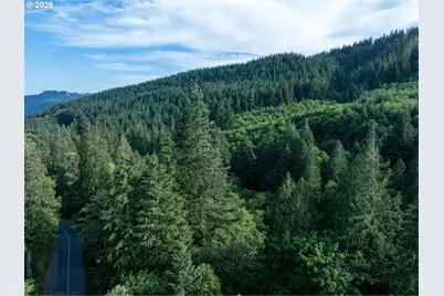 0 N Dubois Rd, Ariel, WA 98603 - Photo 11