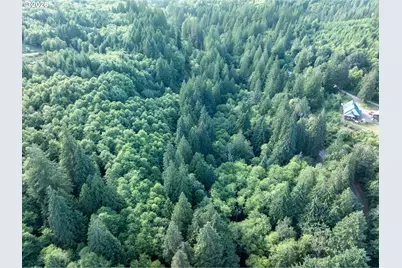 0 N Dubois Rd, Ariel, WA 98603 - Photo 1