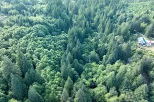 0 N Dubois Rd, Ariel, WA 98603 - Photo 1