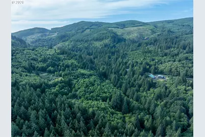 0 N Dubois Rd, Ariel, WA 98603 - Photo 17