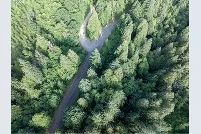0 N Dubois Rd, Ariel, WA 98603 - Photo 5