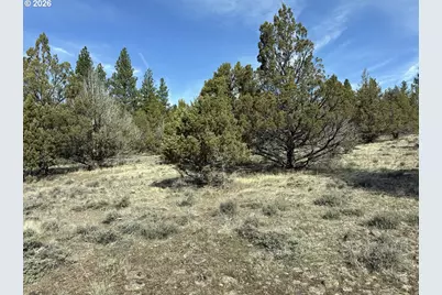 Yellow Jacket Spring Rd #1100, Beatty, OR 97621 - Photo 7