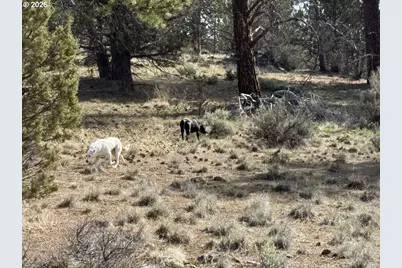 Yellow Jacket Spring Rd #1100, Beatty, OR 97621 - Photo 17