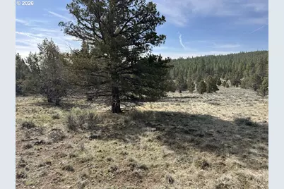 Yellow Jacket Spring Rd #1100, Beatty, OR 97621 - Photo 15