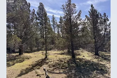 Yellow Jacket Spring Rd #1100, Beatty, OR 97621 - Photo 45