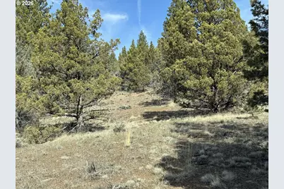 Yellow Jacket Spring Rd #1100, Beatty, OR 97621 - Photo 33