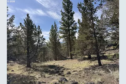Yellow Jacket Spring Rd #1100, Beatty, OR 97621 - Photo 43