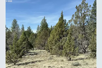 Yellow Jacket Spring Rd #1100, Beatty, OR 97621 - Photo 29