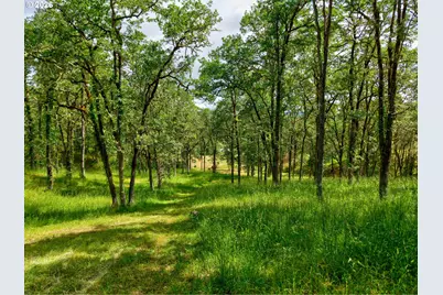 445 Green Valley Rd, Oakland, OR 97462 - Photo 45