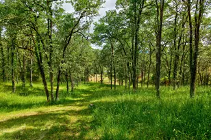 445 Green Valley Rd, Oakland, OR 97462 - Photo 43