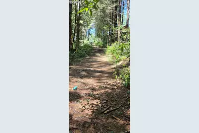 96026 Sundown Dr, Brookings, OR 97415 - Photo 19