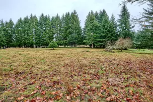 20788 Hazelnut Ridge Rd NE, Scotts Mills, OR 97375 - Photo 37
