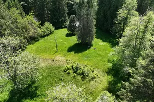 117 River Ln, Toledo, WA 98591 - Photo 21