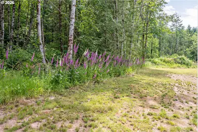 1013 N Bodine Rd, Kelso, WA 98626 - Photo 35
