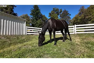 [Address not provided], Amboy, WA 98601 - Photo 7