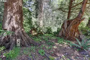 9320 Nehalem Rd, Manzanita, OR 97130 - Photo 37