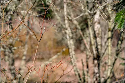 16015 SW Audubon St #101, Beaverton, OR 97003 - Photo 43