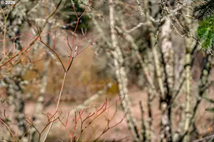 16015 SW Audubon St, Beaverton, OR 97003 - Photo 43