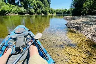 93703 Lower Norway Ln, Myrtle Point, OR 97458 - Photo 39