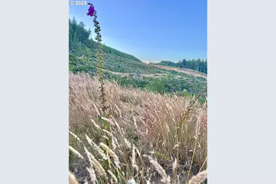 000 Fawn Ln #1300, Coos Bay, OR 97420 - Photo 27