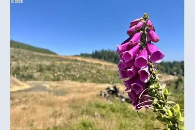000 Fawn Ln #1300, Coos Bay, OR 97420 - Photo 31