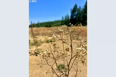 000 Fawn Ln #1300, Coos Bay, OR 97420 - Photo 35