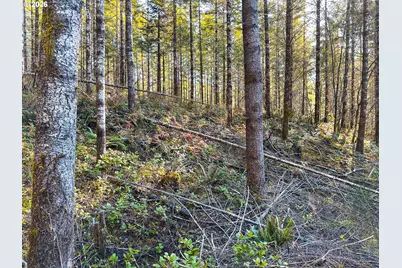 Camp Creek Rd, Springfield, OR 97478 - Photo 35