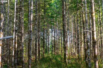 Camp Creek Rd, Springfield, OR 97478 - Photo 47