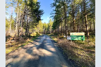 Camp Creek Rd, Springfield, OR 97478 - Photo 31