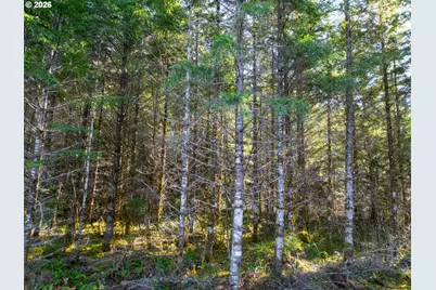 Camp Creek Rd, Springfield, OR 97478 - Photo 17