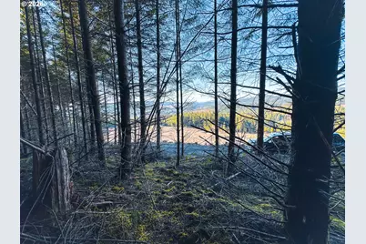 Camp Creek Rd, Springfield, OR 97478 - Photo 21