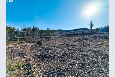 Camp Creek Rd, Springfield, OR 97478 - Photo 11