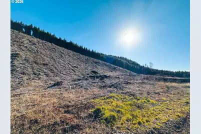 Camp Creek Rd, Springfield, OR 97478 - Photo 13