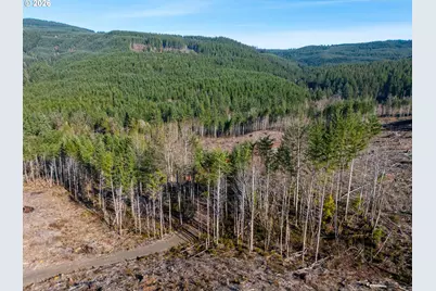 Camp Creek Rd, Springfield, OR 97478 - Photo 9