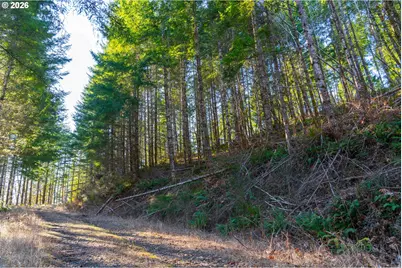 Camp Creek Rd, Springfield, OR 97478 - Photo 39