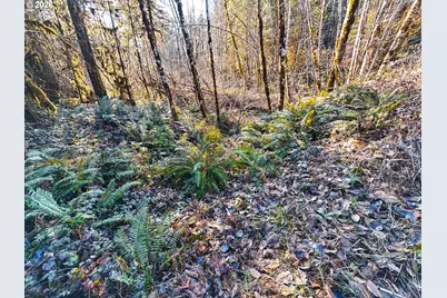 Camp Creek Rd, Springfield, OR 97478 - Photo 43