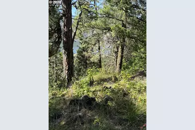 Coyote Ct Lot #42, Mosier, OR 97040 - Photo 13