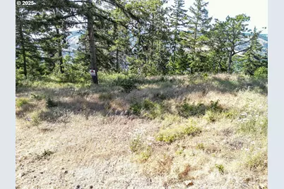 Coyote Ct Lot #42, Mosier, OR 97040 - Photo 5