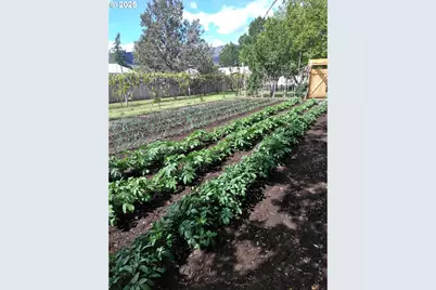 527 S Dewey St, Union, OR 97883 - Photo 11