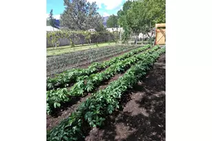 527 S Dewey St, Union, OR 97883 - Photo 17