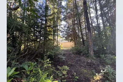 55769 Prosper Junction Rd, Bandon, OR 97411 - Photo 7