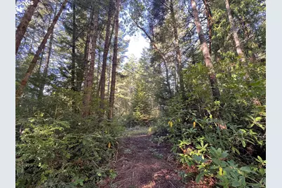 55769 Prosper Junction Rd, Bandon, OR 97411 - Photo 3