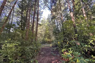 55769 Prosper Jct Rd, Bandon, OR 97411 - Photo 3