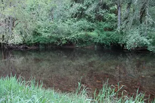 13580 Keasey Rd, Vernonia, OR 97064 - Photo 39