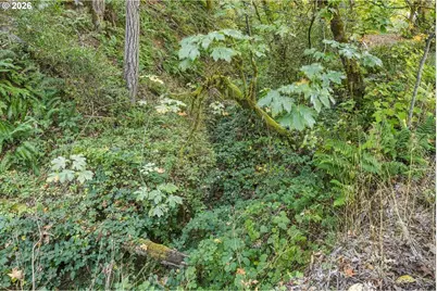 451 Woodruff Mountain Rd, Roseburg, OR 97471 - Photo 37