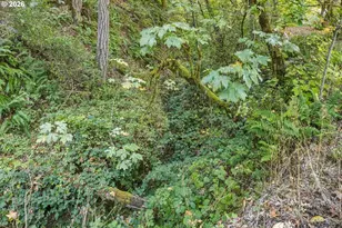 451 Woodruff Mountain Rd, Roseburg, OR 97471 - Photo 37