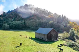 27277 Lower Smith River Rd, Reedsport, OR 97467 - Photo 31