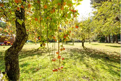 27277 Lower Smith River Rd, Reedsport, OR 97467 - Photo 45